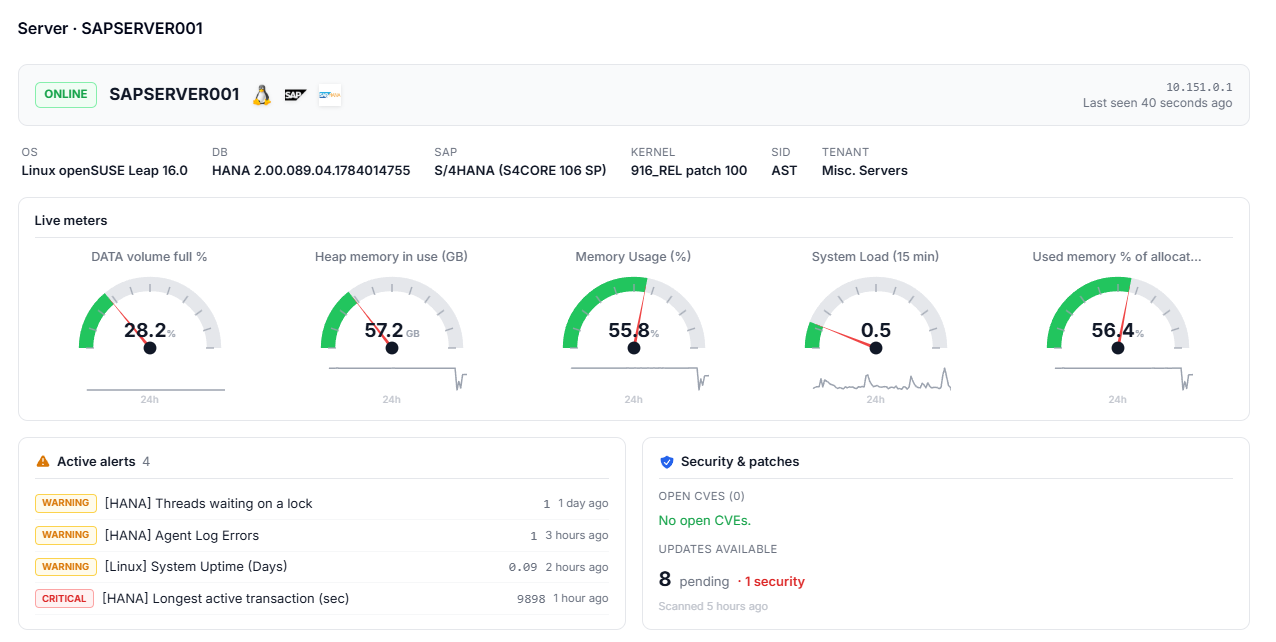 OPS4 server screen: status, live meters, open alerts and the patch and CVE standing